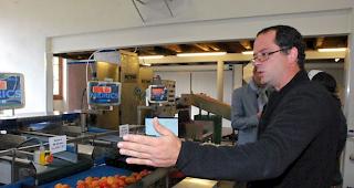 S&eacute;bastien Besse vom kantonalen Amt f&uuml;r Obst- und Gem&uuml;sebau erkl&auml;rt die neuartige Sortieranlage.