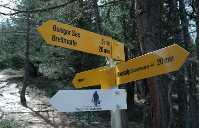 Die Augstbordregion ist ein beliebtes Wandergebiet.