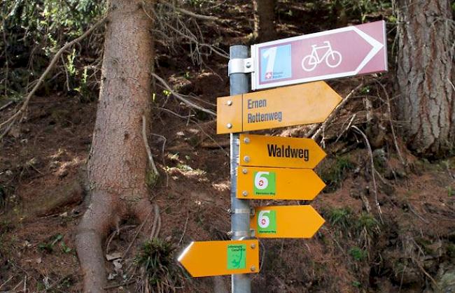 Insgesamt am meisten tödliche Unfälle gab es laut BFU im Bergsport mit 83 Toten pro Jahr, davon 46 beim Wandern und 29 beim Bergsteigen.