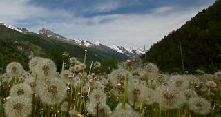 Auch im Oberwallis kann mit pr&auml;chtigem Wetter gerechnet werden.