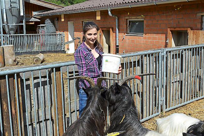 Joanna Stachowicz macht die Arbeit mit den Schwarzhalsziegen sichtlich Spass.