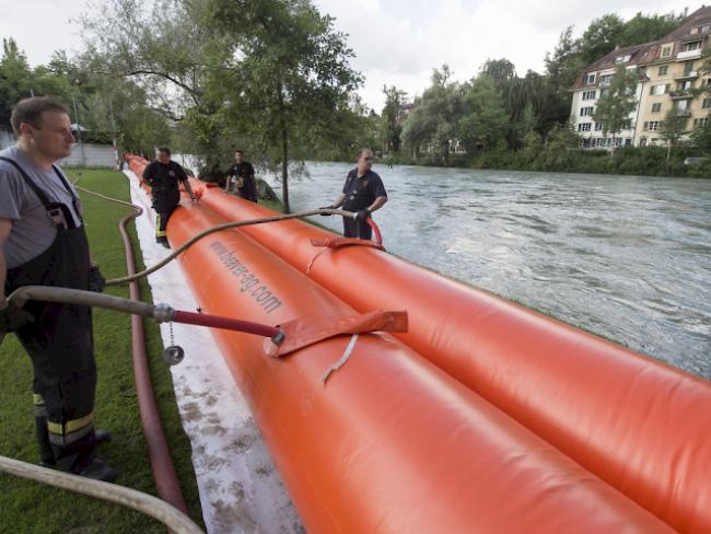 Feuerwehrleute montieren Hochwasserschutzdämme bei der Aare in Bern