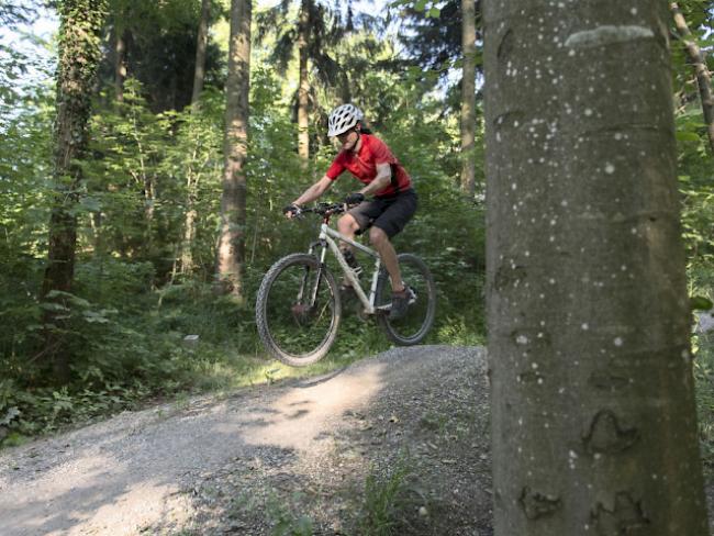 Mountainbiker auf einem Bike Trail