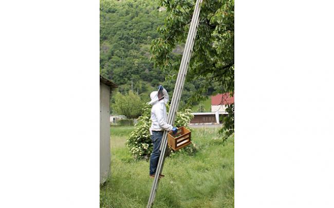 Schwindelfreiheit vorausgesetzt: Die Hände voll zu tun.