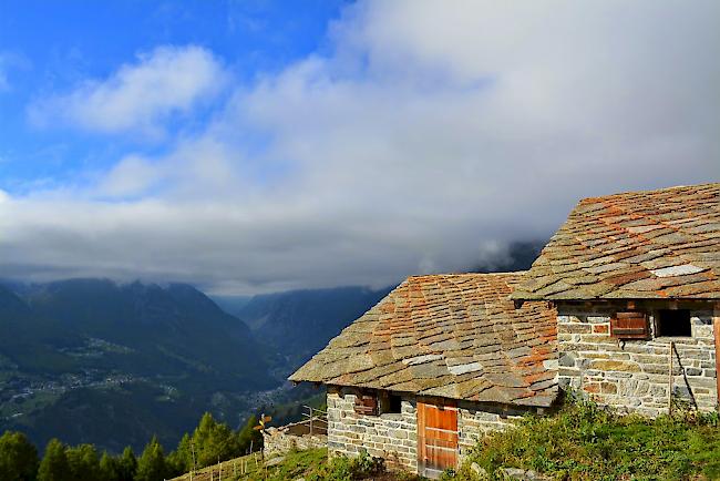 Alpe Pletschen auf 2000 m ü. M.  (Archiv)