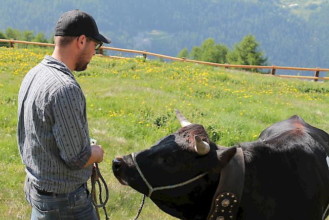 Die Züchter führen ihre Tiere auf die Alpwiesen. 