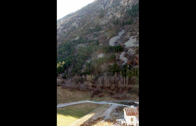 Blick ins Steinschlaggebiet oberhalb des Wanderweges.