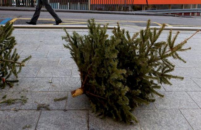 Weihnachtsbäume werden in der Regel zu Häcksel verarbeitet (Symbolbild).