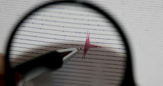 Blick auf ein Internet-Seismogramm, das den Ausschlag eines Erdbebens dokumentiert. 