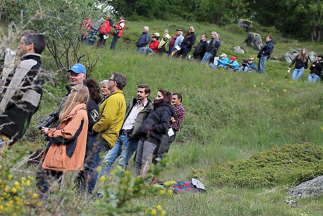 Impressionen vom «Bsetztag» auf der Moosalp