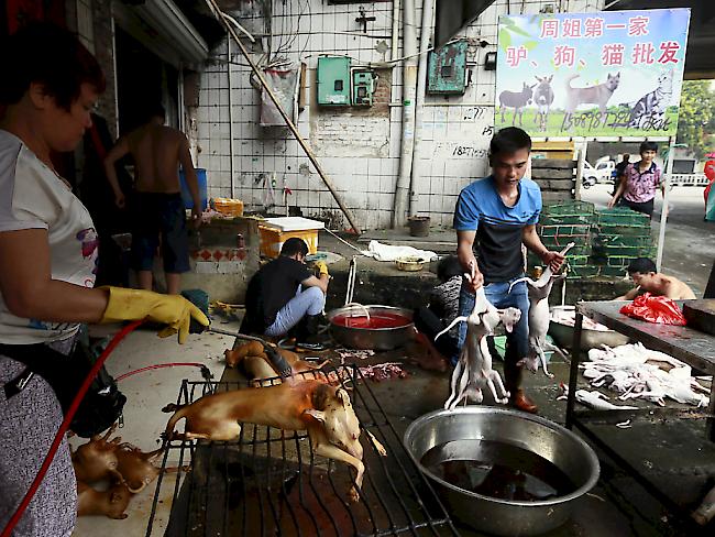 Zum Hundefleisch-Festival auf dem Markt im südchinesischen Yulin