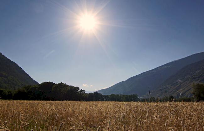 Die Ozonkonzentrationen haben in gewissen Gebieten des Wallis wie in der Westschweiz eine Höhe erreicht, die für Teile der Bevölkerung gesundheitliche Beeinträchtigungen mit sich bringen kann. 