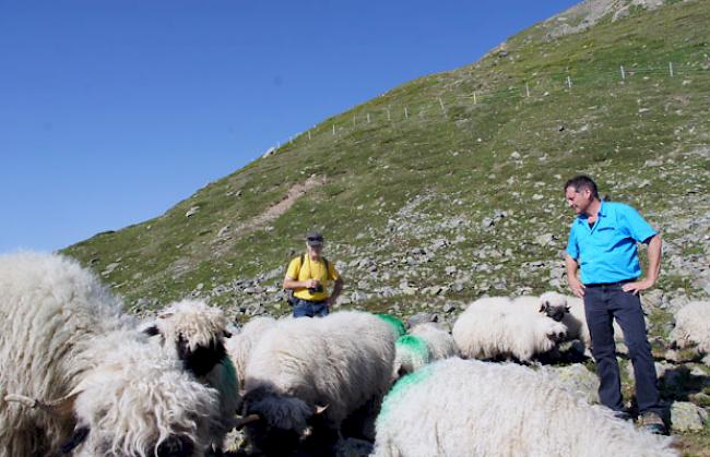 Rolf Kalbermatten (rechts) will am Sömmerungssystem auf der Moosalp derzeit nichts ändern.