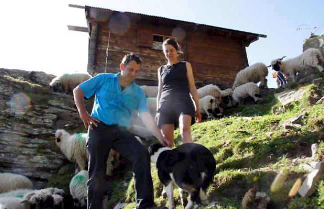  Alpchef Rolf Kalbermatten (48) unterstützt die Wibke Widuch zusammen mit den 20 Schafbesitzern. 