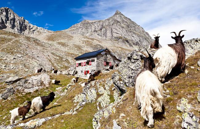 Die Wiwannihütte oberhalb von Ausserberg