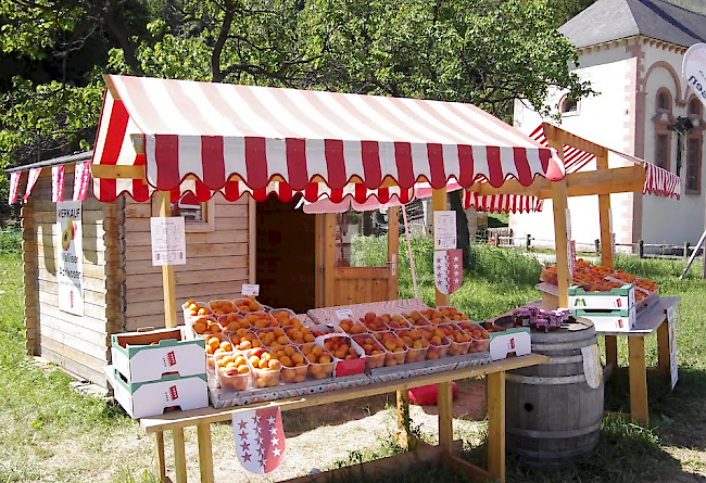Verschiedenste Aprikosenstände bieten ihre Ware an.