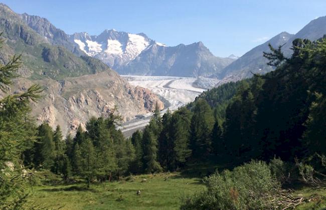 Es ist zuwenig Regen gefallen: Private dürfen deshalb am 1. August nicht herum böllern.