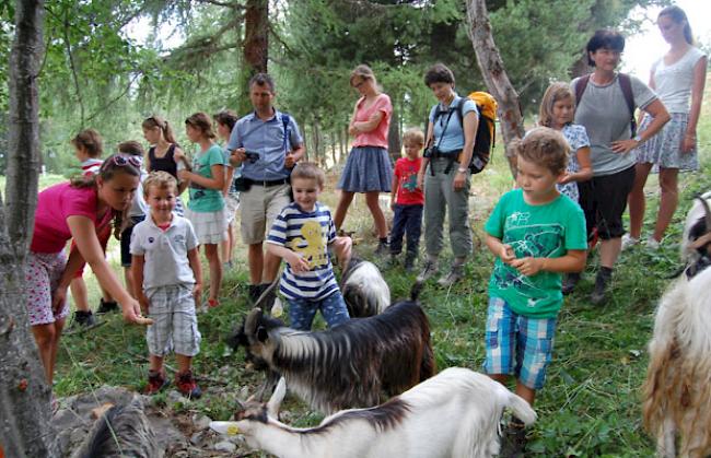 Begeisterte Teilnehmer an der Brauchtumswoche in Grächen