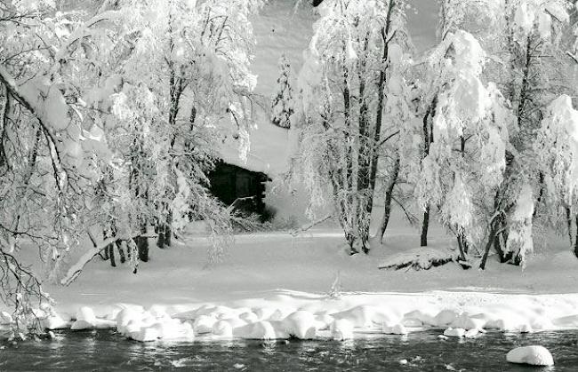 Winterfoto aus dem Goms