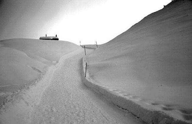 Belalp