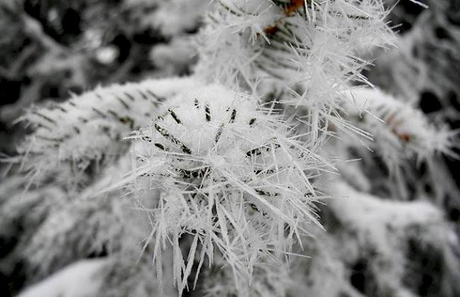 Bilder aus Saas-Fee