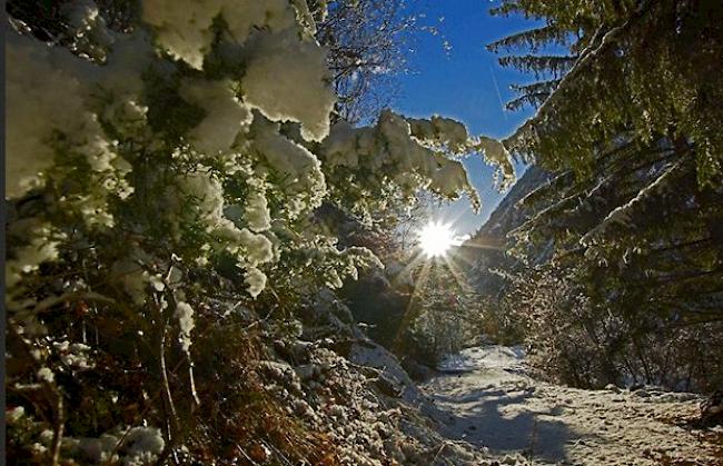 «Abendsonne im Winter.»