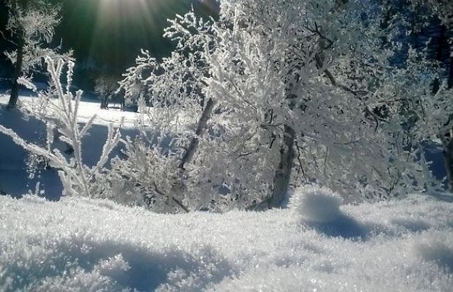 Wintergruss aus dem Goms