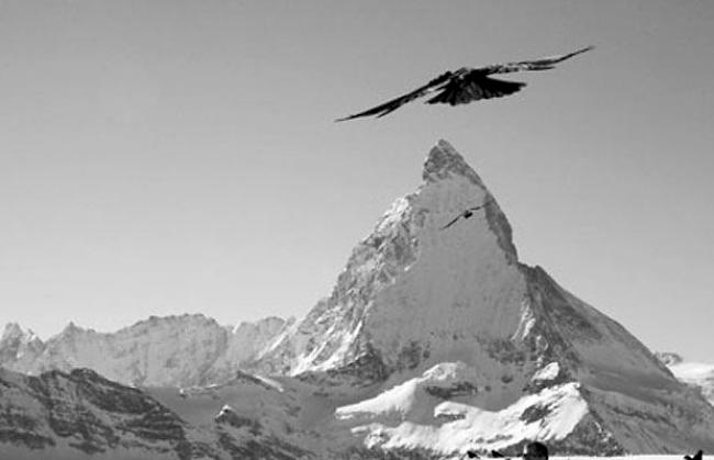 «Neue Horizonte 1, Zermatt»