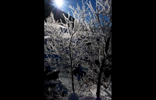 Sagenhafte Winterlandschaft im Sonnenschein. 