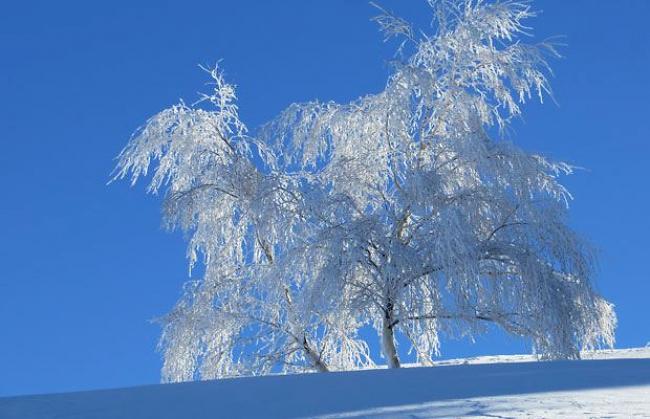 Winterbilder aus dem Wallis 