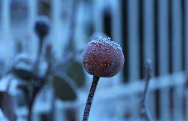 Winterbilder aus dem Wallis 