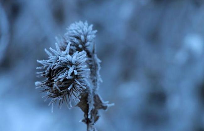 Winterbilder aus dem Wallis 