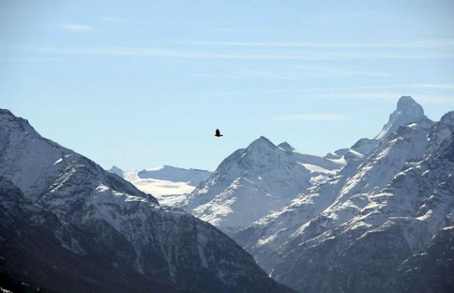 «Winterbild mit Matterhorn und Adler». 