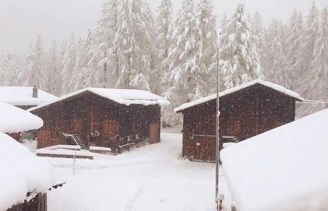 «Oberwald, Piischewald kurz vor Mittag (26.12.2013)»