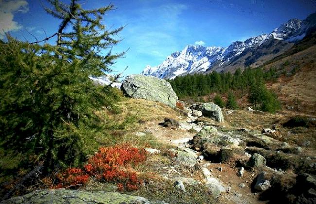 Das Lötschental als Schweizerische CVP-Hochburg