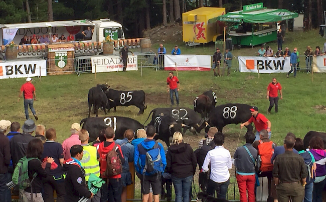 Impressionen von Stechfest in Visperterminen