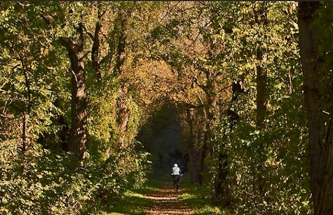 «Herbstlicher Ausflug»