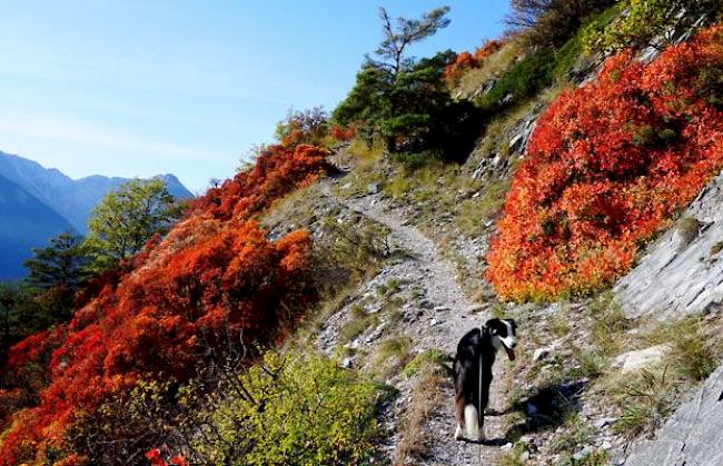 Herbst oberhalb Getwing