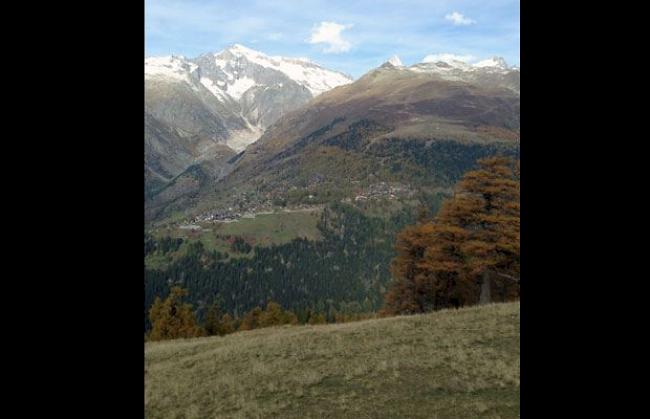 Herbst im Goms: Bellwald von der Heizenalp aus gesehen.