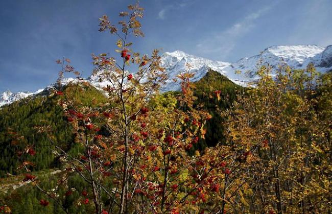 Grüsse aus dem Lötschental. 