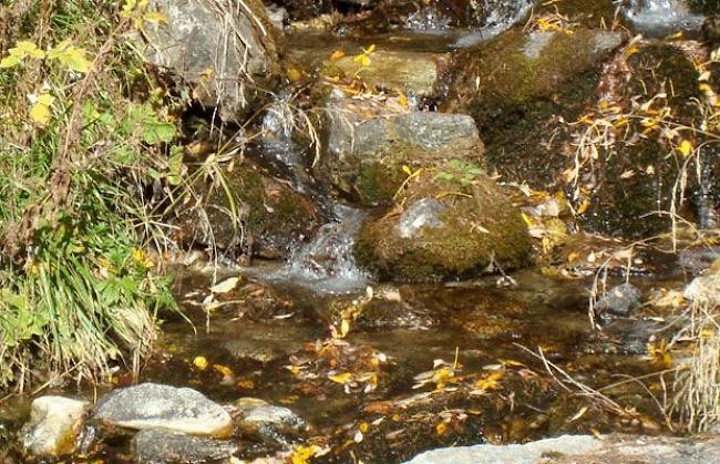 Auch im Wasser spiegelt sich der Herbst. (Mund)