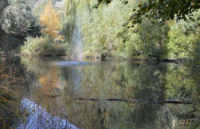 Der Herbst lässt grüssen.