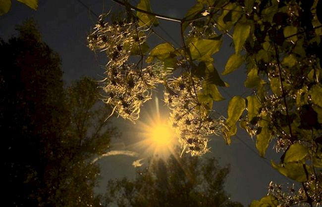 Ein malerischer Sonnenuntergang.