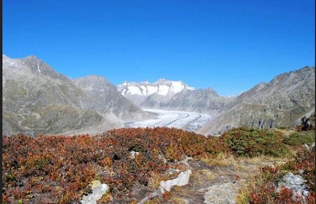 «Herbst in der Aletsch Arena».