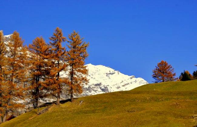 Aus der Umgebung von Leukerbad