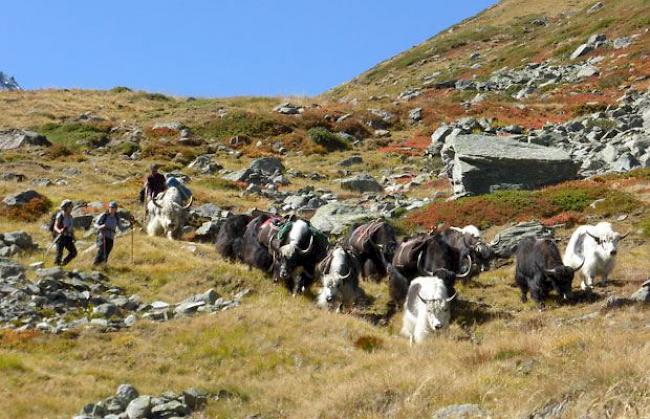 Yakkarawane: Vom Augstbordpass her kommend. 