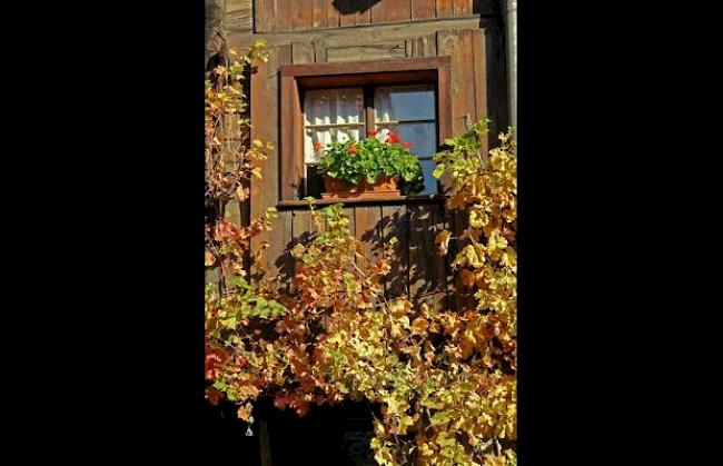 «Es wird Herbst.» (Fotografiert in Evolène-Lannaz)