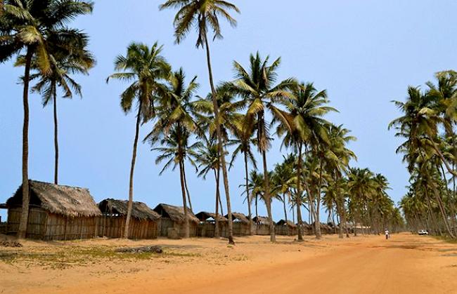 Route de Pêche diese führt dem Strand entlang von Cotonou nach Ouidah, durch unzählige Fischerdörfer