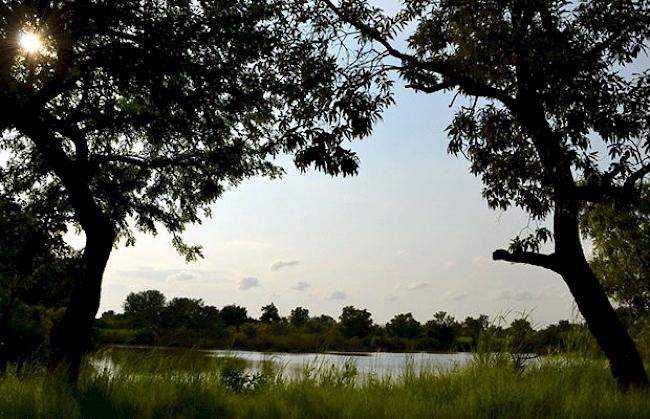 Pendjari Nationalpark im Norden Benins