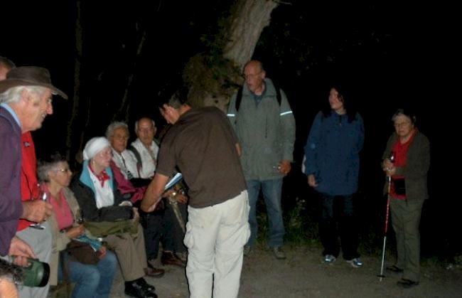 Nachtwanderung im Pfynwald.